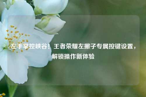左手掌控峡谷!王者荣耀左撇子专属按键设置,解锁操作新体验
