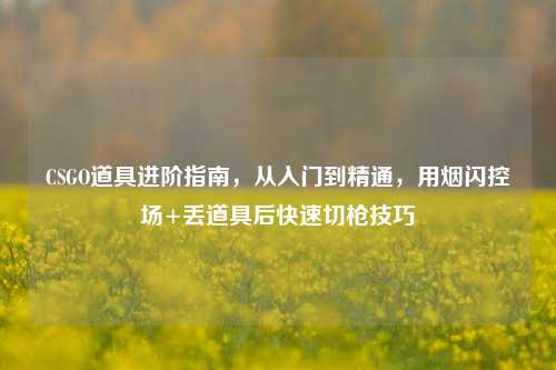CSGO道具进阶指南,从入门到精通,用烟闪控场+丢道具后快速切枪技巧