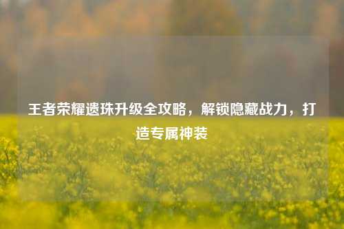 王者荣耀遗珠升级全攻略,解锁隐藏战力,打造专属神装
