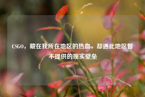 CSGO,藏在我所在地区的热血,却遇此地区暂不提供的现实壁垒