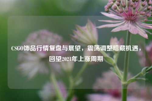 CSGO饰品行情复盘与展望,震荡调整暗藏机遇,回望2021年上涨周期