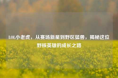LOL小老虎,从赛场新星到野区猛兽,揭秘这位野核英雄的成长之路
