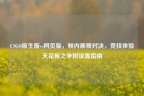 CSGO原生版vs网页版,帧内画质对决,竞技体验天花板之争附设置指南
