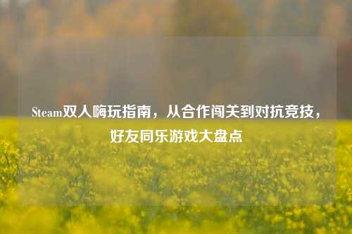 Steam双人嗨玩指南,从合作闯关到对抗竞技,好友同乐游戏大盘点