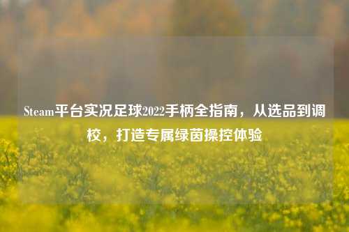 Steam平台实况足球2022手柄全指南,从选品到调校,打造专属绿茵操控体验