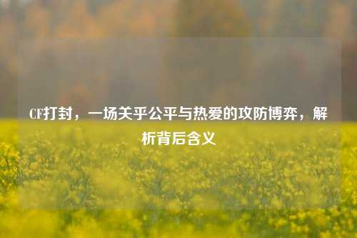 CF打封,一场关乎公平与热爱的攻防博弈,解析背后含义