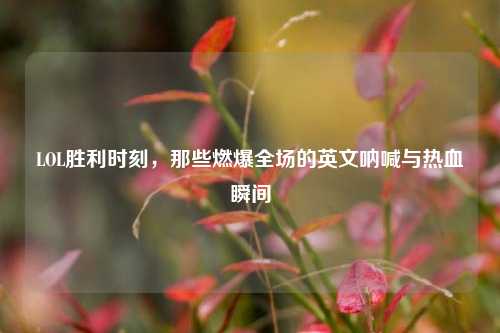 LOL胜利时刻,那些燃爆全场的英文呐喊与热血瞬间
