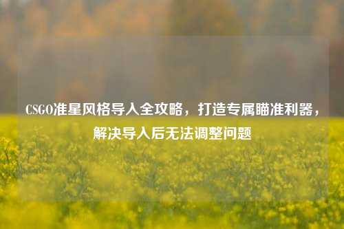 CSGO准星风格导入全攻略,打造专属瞄准利器,解决导入后无法调整问题