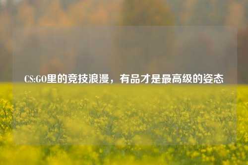 CS:GO里的竞技浪漫,有品才是更高级的姿态