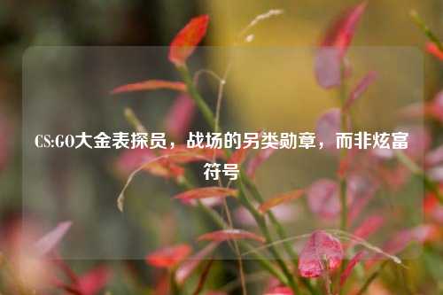 CS:GO大金表探员,战场的另类勋章,而非炫富符号