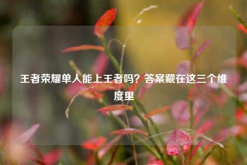 王者荣耀单人能上王者吗?答案藏在这三个维度里