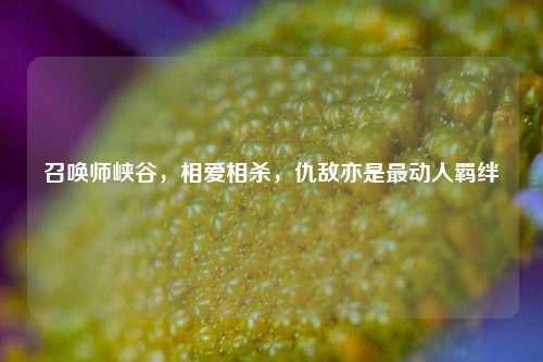 召唤师峡谷,相爱相杀,仇敌亦是最动人羁绊
