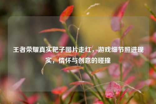 王者荣耀真实靶子图片走红,游戏细节照进现实,情怀与创意的碰撞