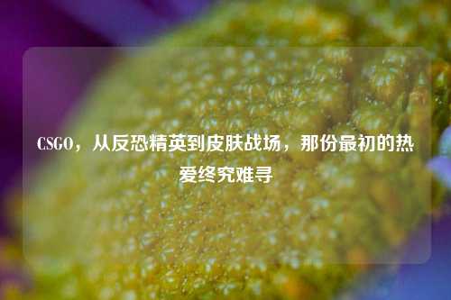 CSGO,从反恐精英到皮肤战场,那份最初的热爱终究难寻