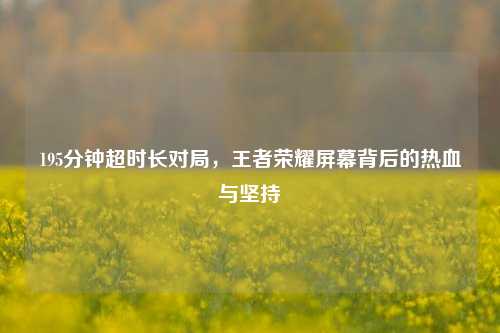 195分钟超时长对局,王者荣耀屏幕背后的热血与坚持