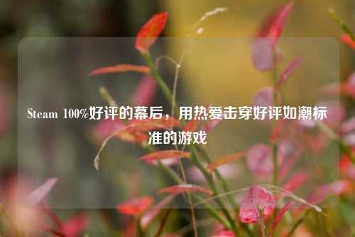 Steam 100%好评的幕后，用热爱击穿好评如潮标准的游戏
